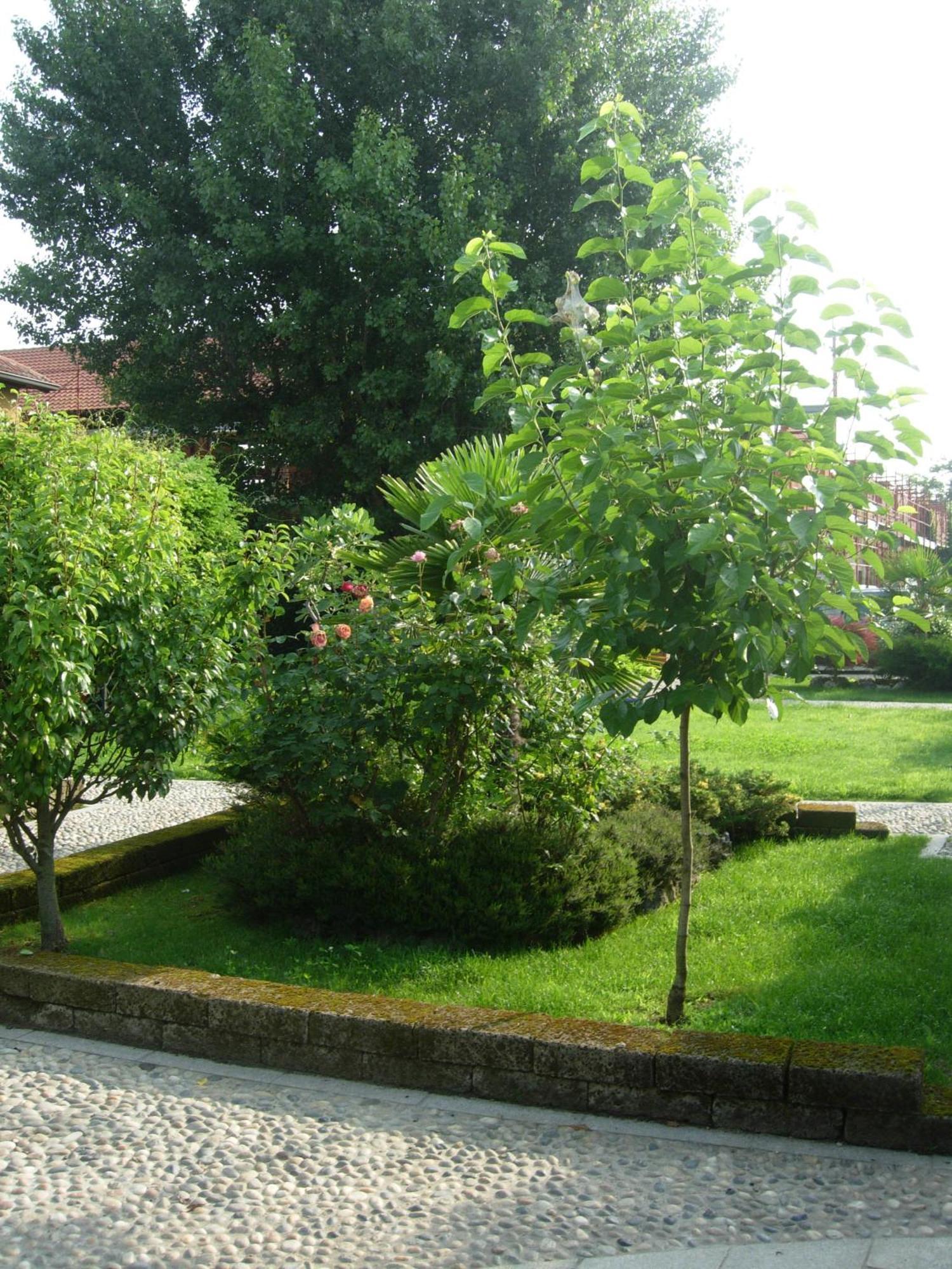 B&B Il Pioppo E La Fonte Castello d'Agogna Luaran gambar